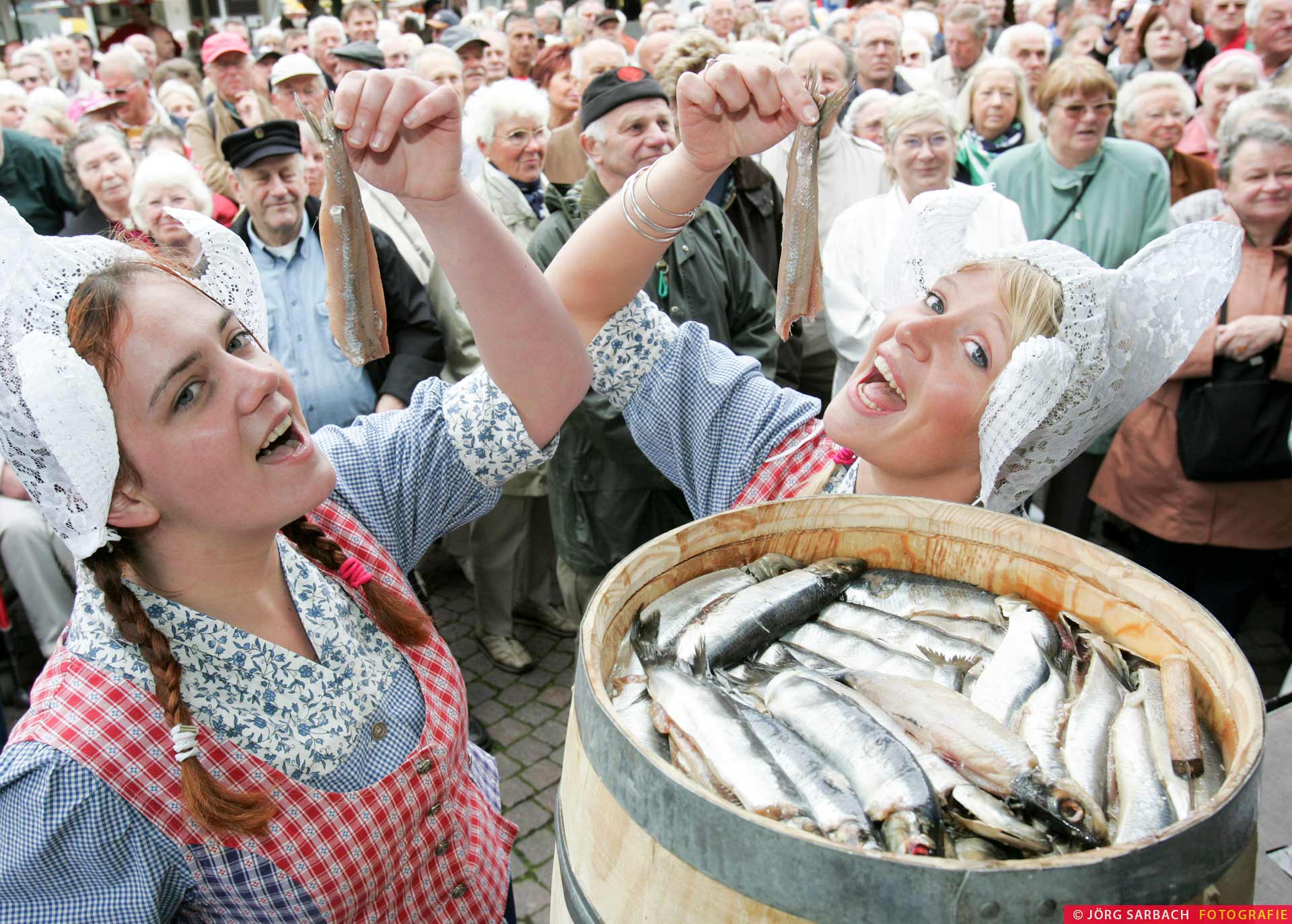 Fisch, Matjes, Spezialität, Hering, Essen