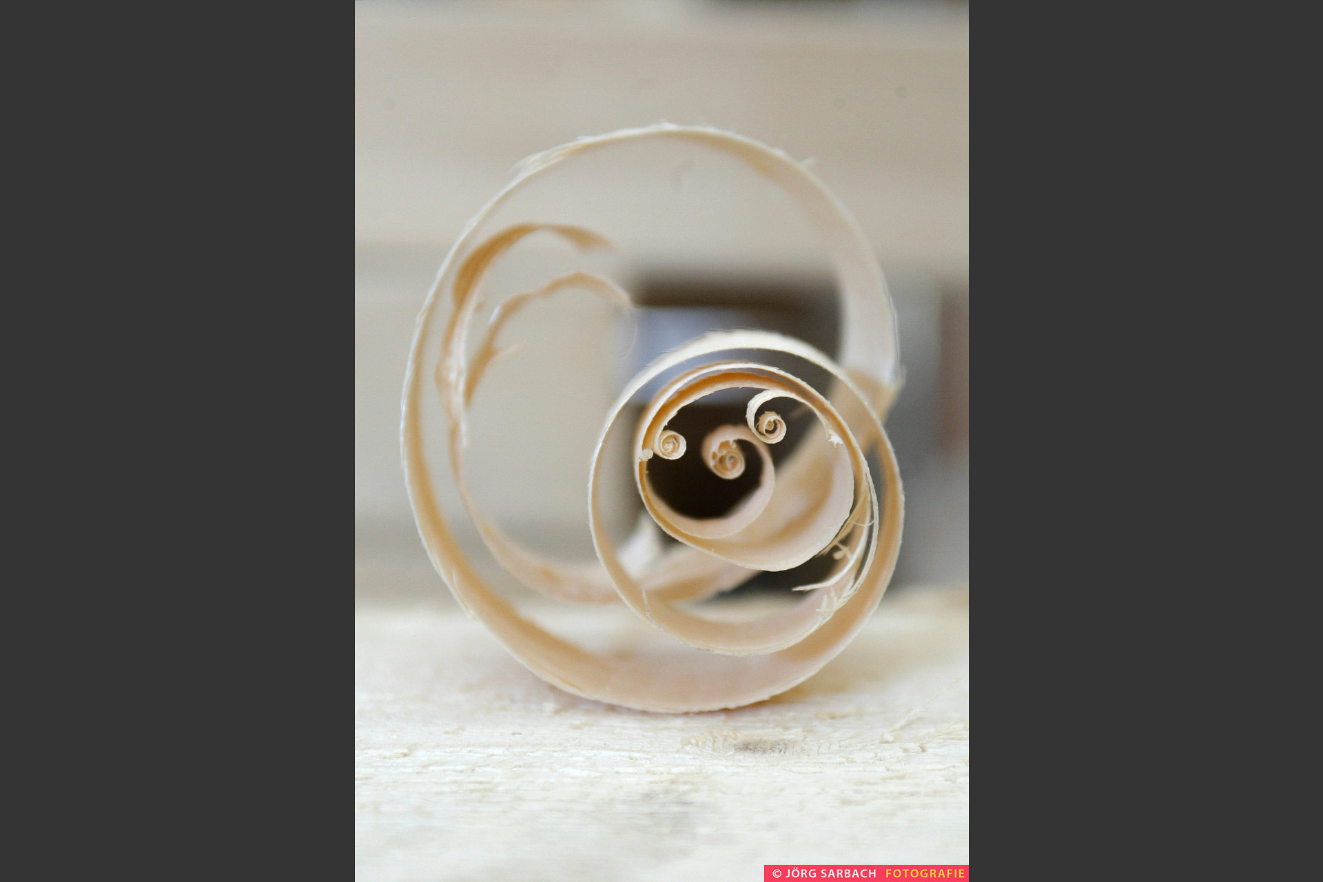 Hansa Holz, Holzgroßhandel